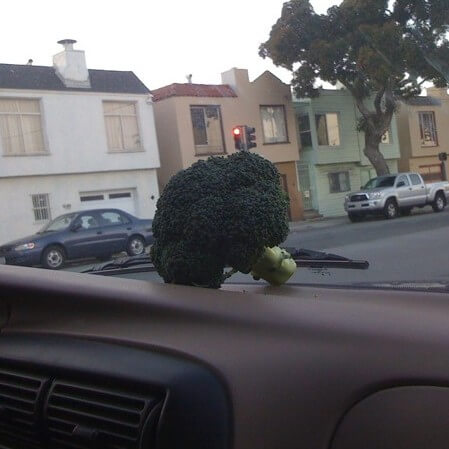 An out-of-place floret of broccoli sits on a car dashboard.